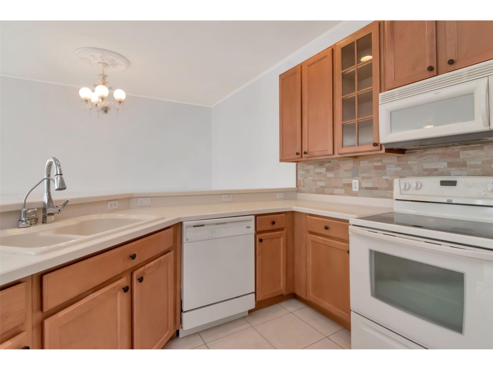 125 Shell Falls Drive Apollo Beach FL 33572 TB8475851 image16