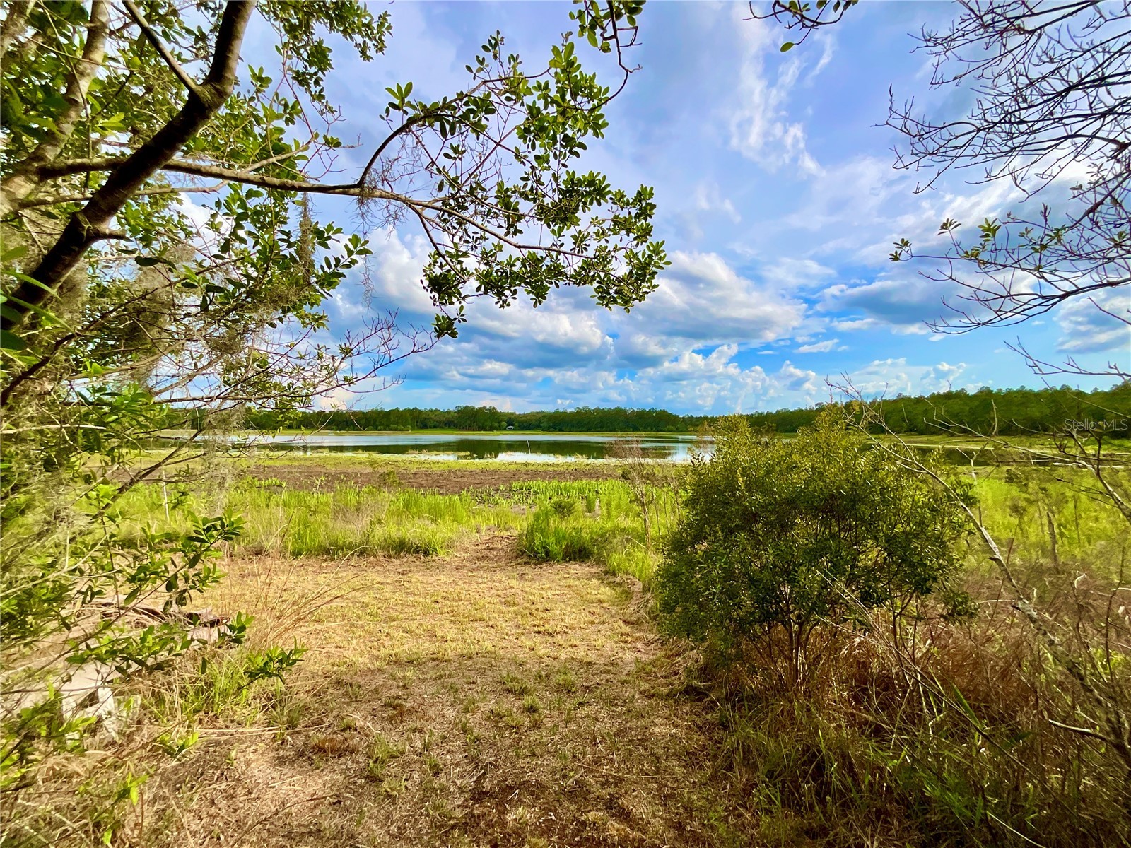 125 Silver Dollar Pond Road Hawthorne FL 32640 - GREENSILLS LKAE GC541335 image22