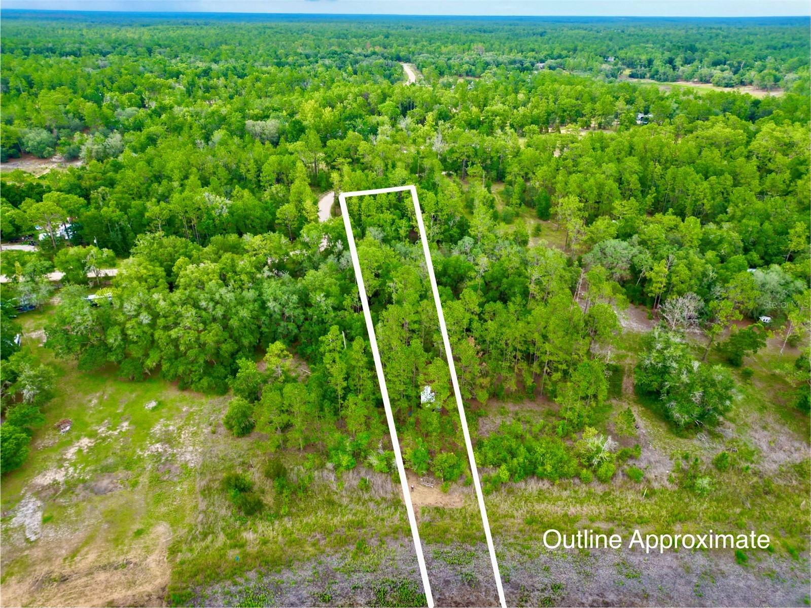 125 Silver Dollar Pond Road Hawthorne FL 32640 - GREENSILLS LKAE GC541335 image34