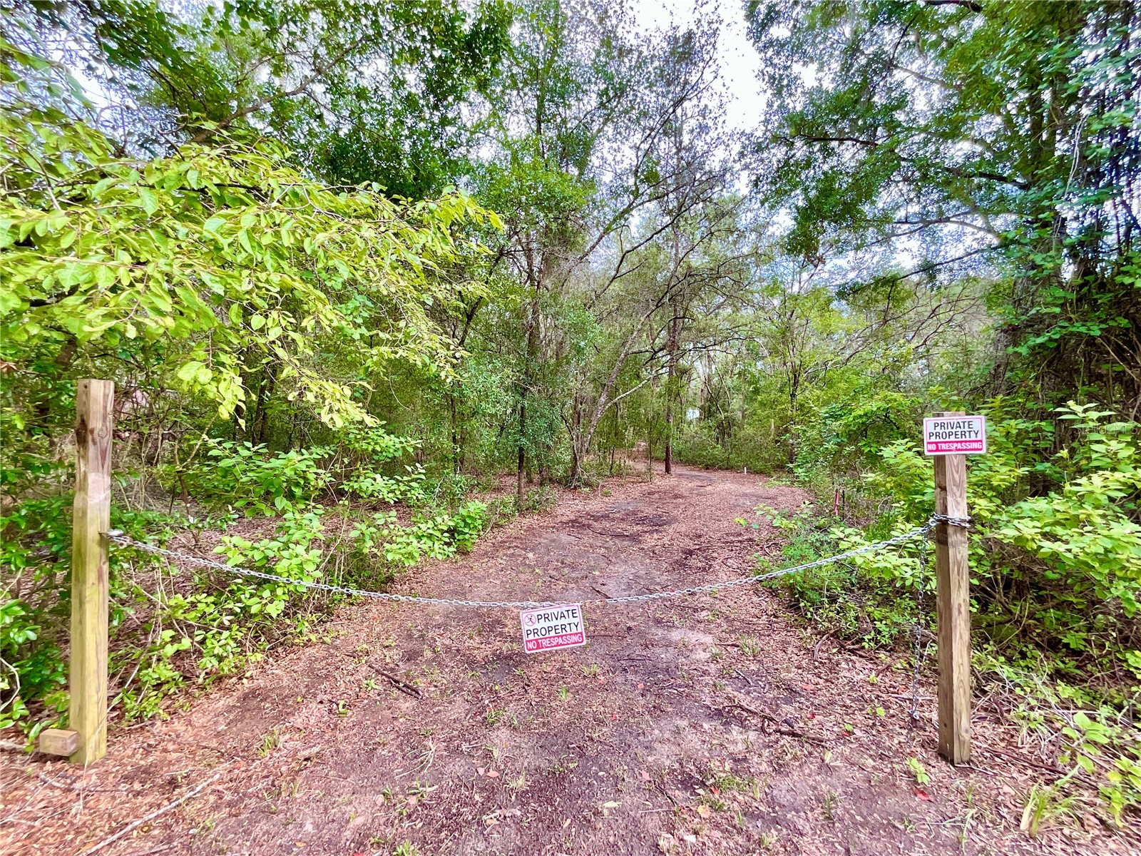 125 Silver Dollar Pond Road Hawthorne FL 32640 - GREENSILLS LKAE GC541335 image6