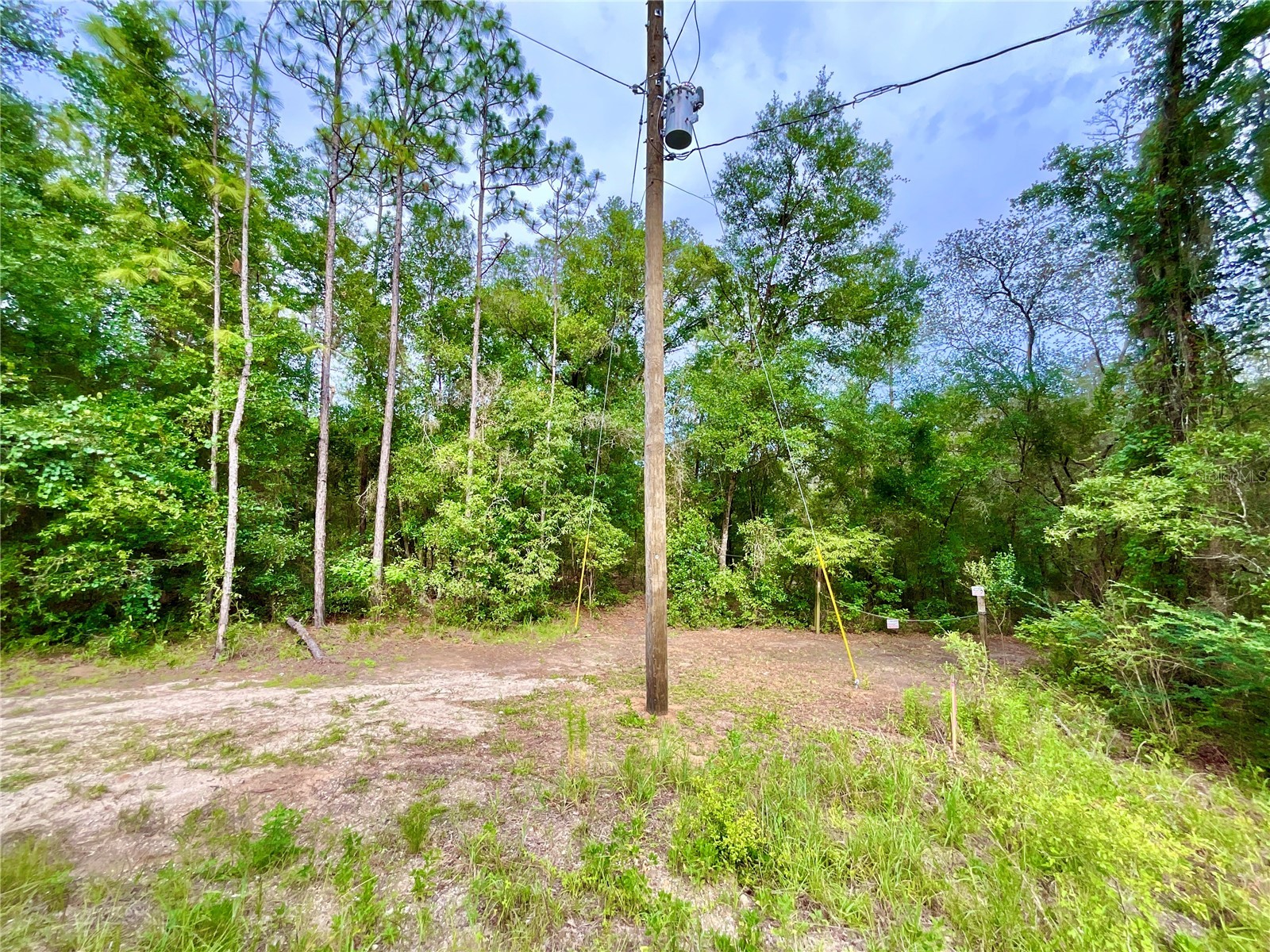 125 Silver Dollar Pond Road Hawthorne FL 32640 - GREENSILLS LKAE GC541335 image8