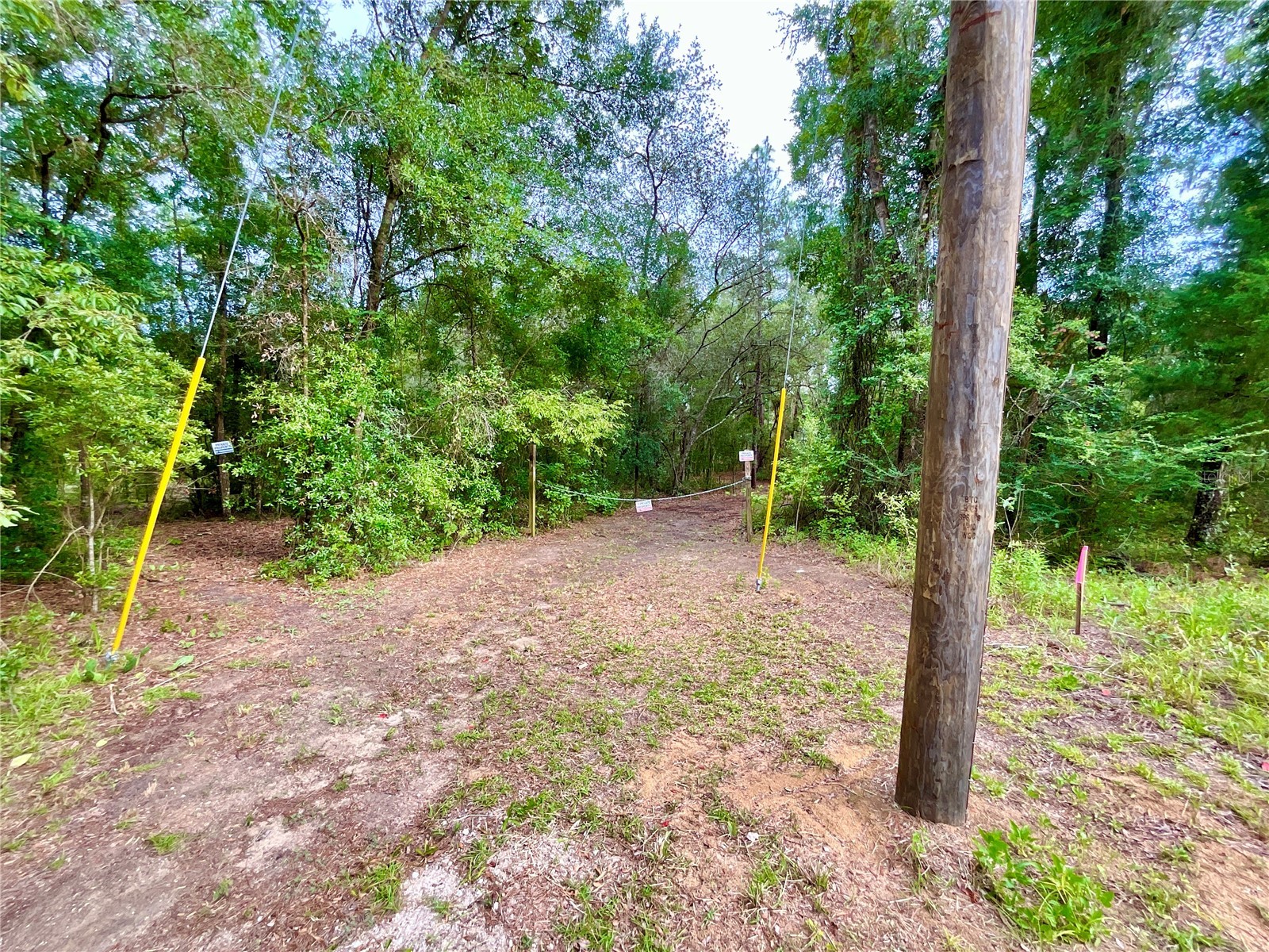 125 Silver Dollar Pond Road Hawthorne FL 32640 - GREENSILLS LKAE GC541335 image9