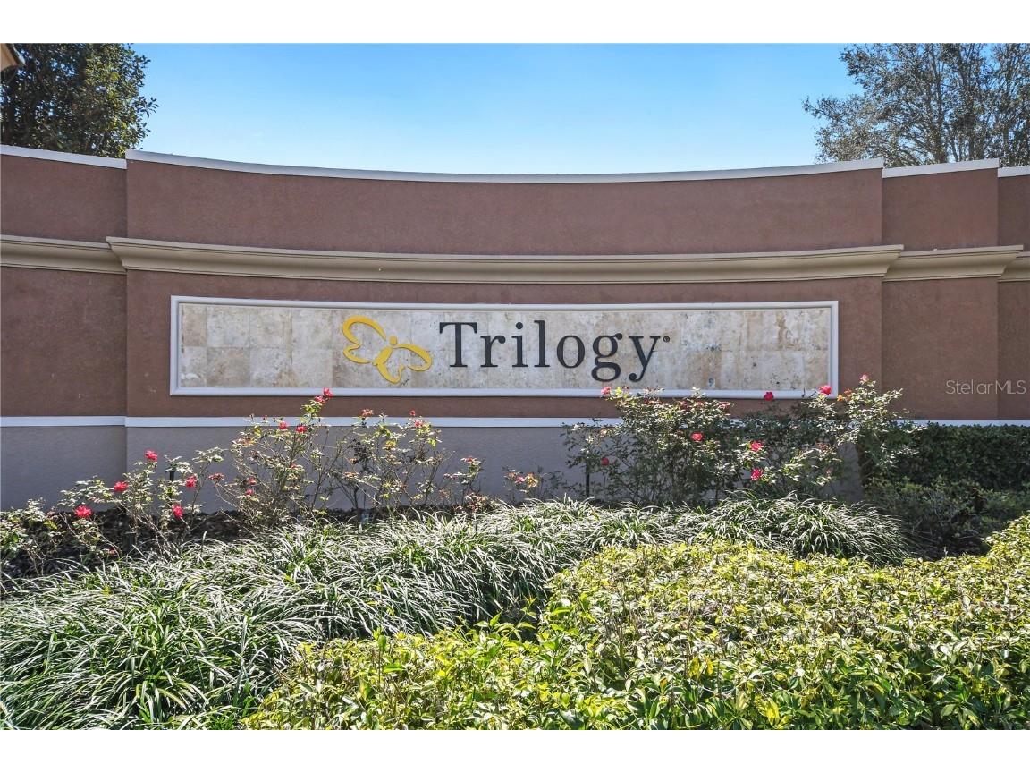 125 Silver Maple Road Groveland FL 34736 O6305112 image44