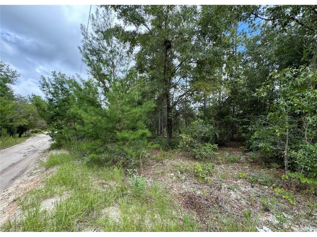 125 Susan Road Hawthorne FL 32640 OM685835 image1