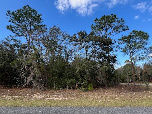 125 W Ruska Place Citrus Springs FL 34434 O6368838 image2