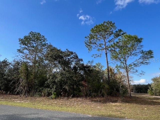 125 W Ruska Place Citrus Springs FL 34434 O6368838 image3