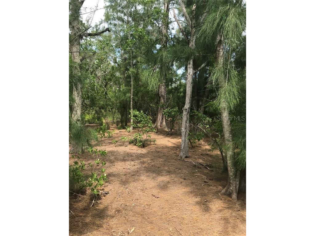 1250 Beach Road Englewood FL 34223 - Bay R4905599 image11