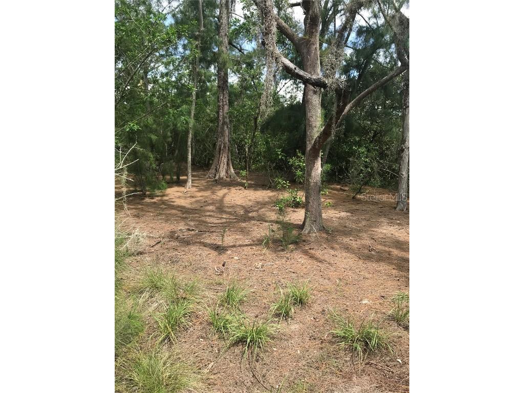 1250 Beach Road Englewood FL 34223 - Bay R4905599 image12