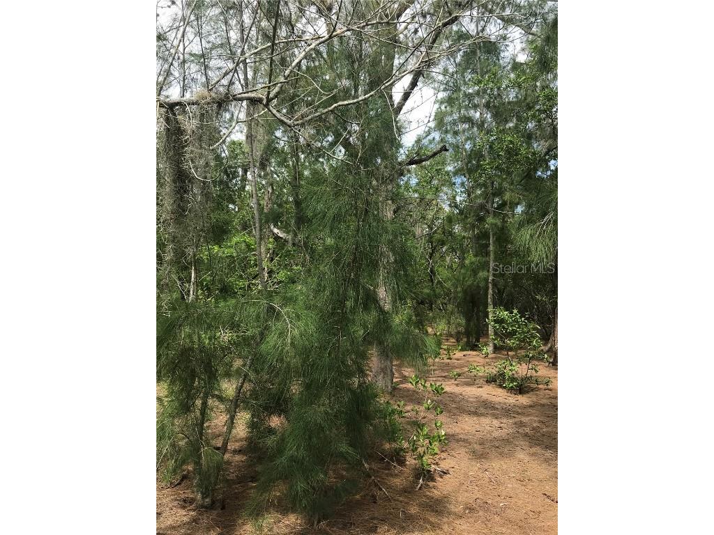 1250 Beach Road Englewood FL 34223 - Bay R4905599 image13