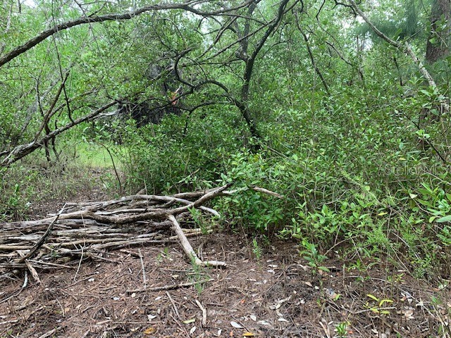 1250 Beach Road Englewood FL 34223 - Bay R4905599 image14