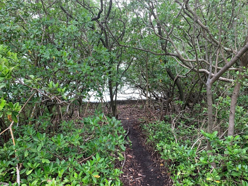 1250 Beach Road Englewood FL 34223 - Bay R4905599 image15