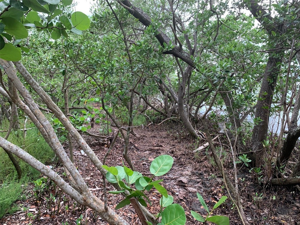 1250 Beach Road Englewood FL 34223 - Bay R4905599 image16