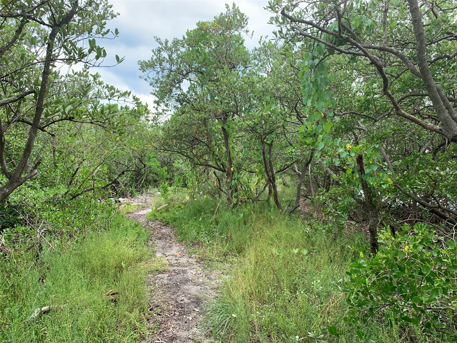 1250 Beach Road Englewood FL 34223 - Bay R4905599 image18