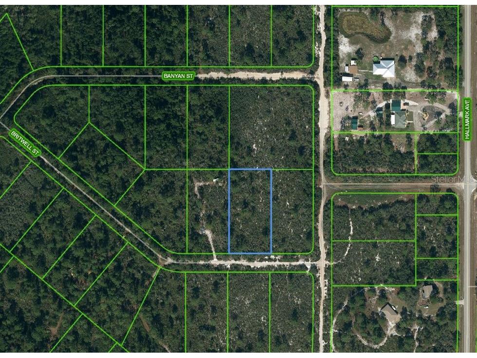 1250 Britwell Street Lake Placid FL 33852 OM624695 image1