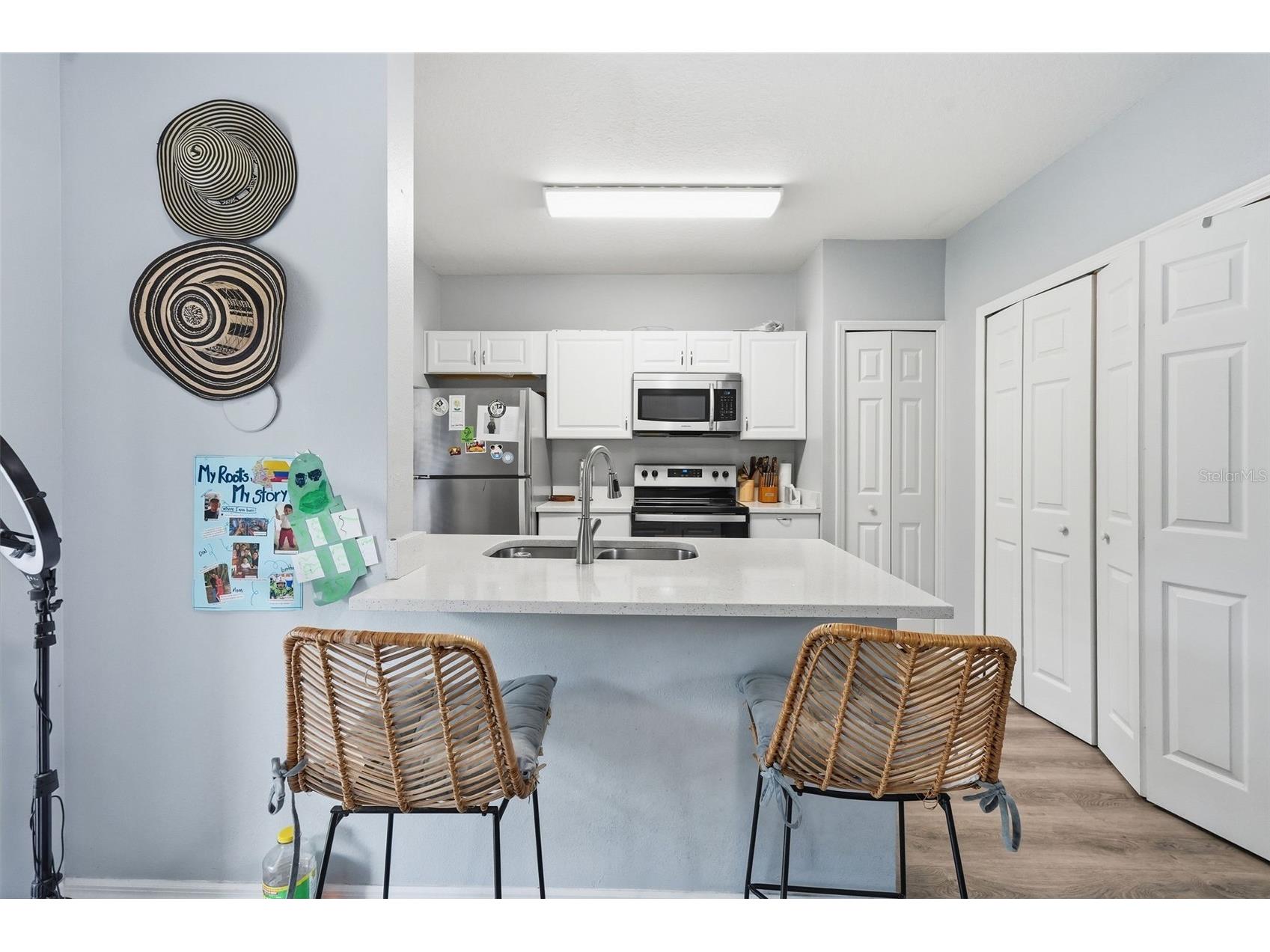 1250 Charlesworth Drive Wesley Chapel FL 33543 TB8513913 image20