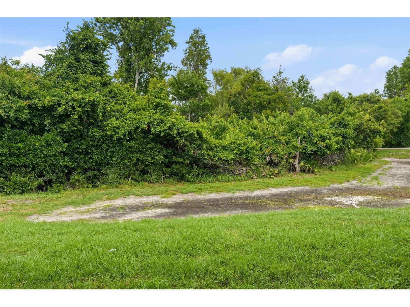 1250 Charlesworth Drive Wesley Chapel FL 33543 TB8513913 image50