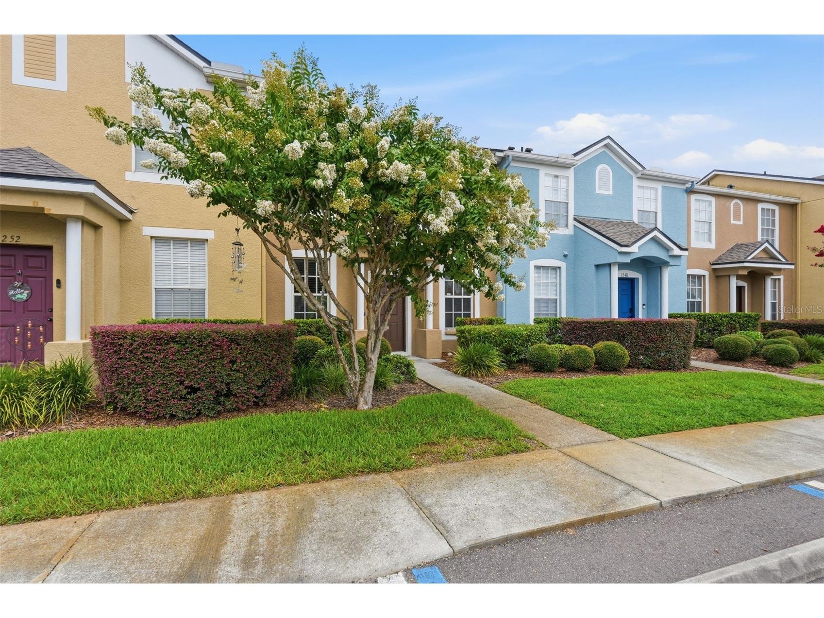 1250 Charlesworth Drive Wesley Chapel FL 33543 TB8513913 image54