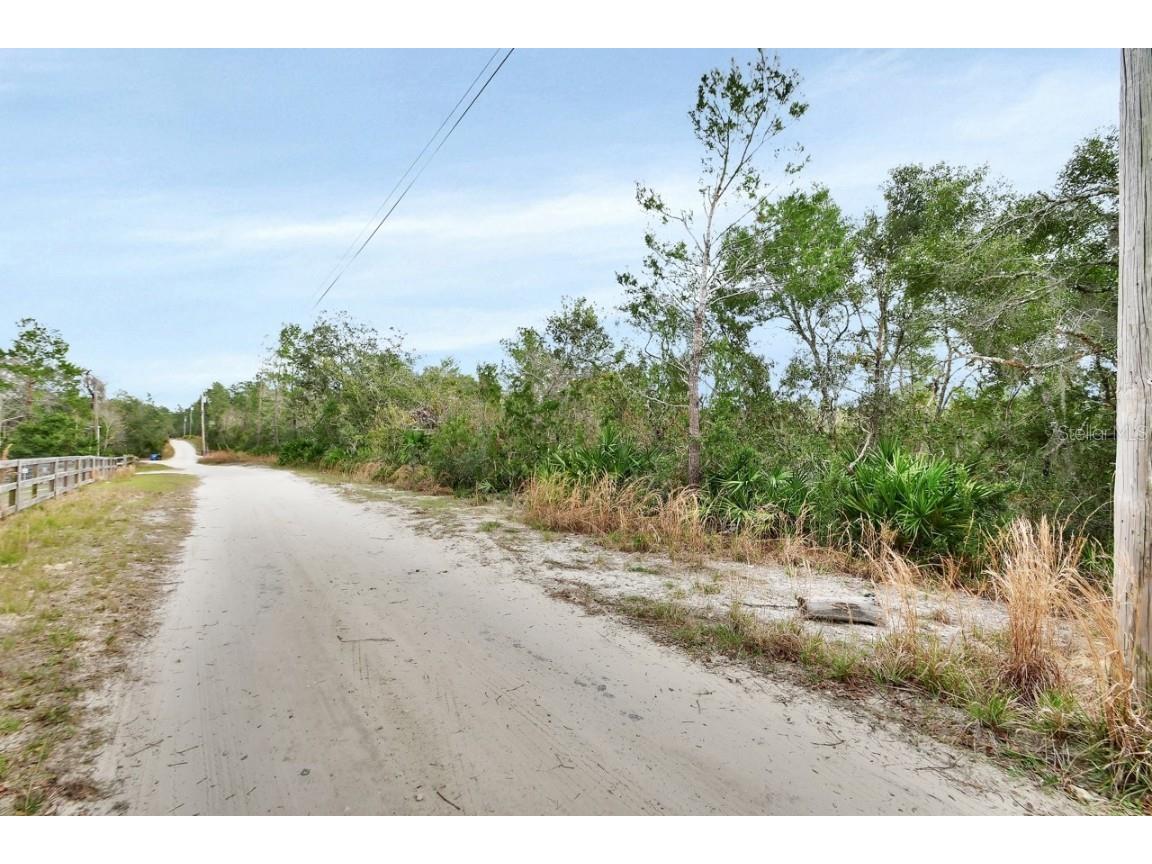 1250 Cherokee Drive De Leon Springs FL 32130 V4940231 image1