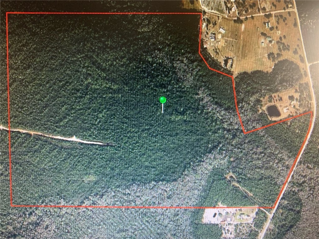 1250 Chesser Hammock Road Pierson FL 32180 V4929074 image1