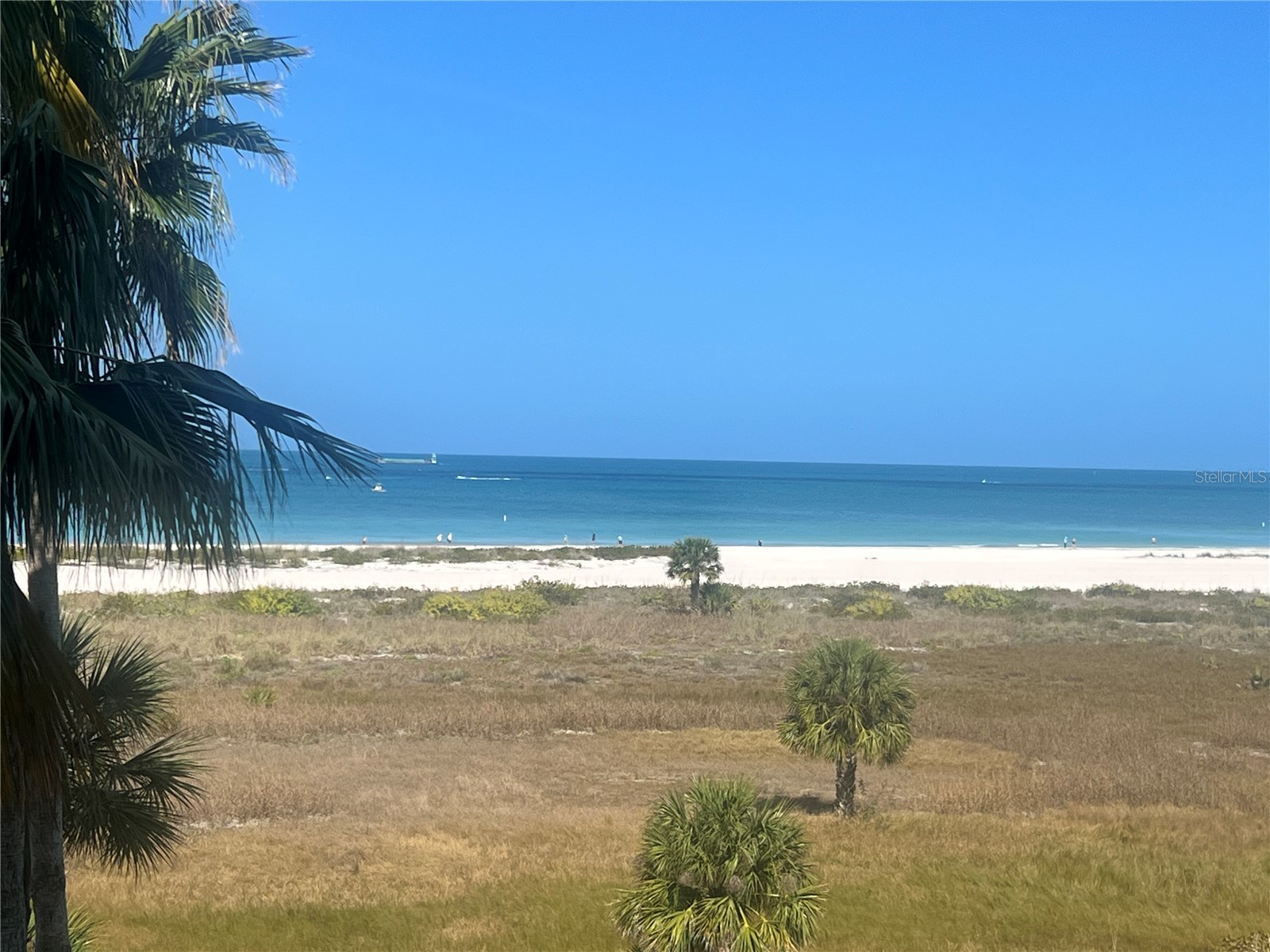 1250 Gulf Boulevard #405 Clearwater FL 33767 - GULF OF MEXICO TB8508185 image1
