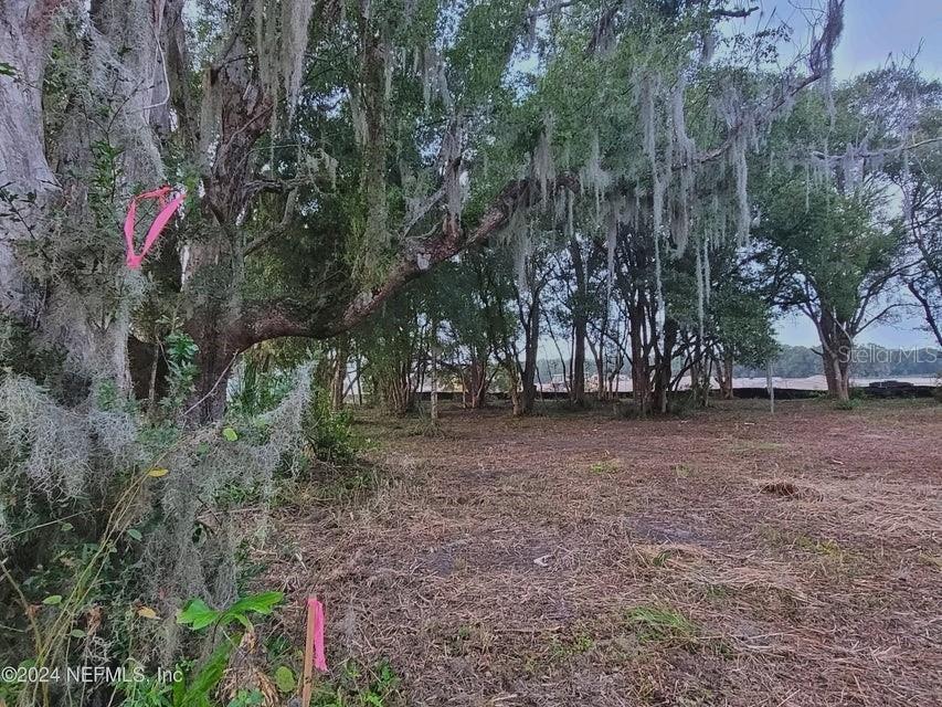 1250 Huntington Road Crescent City FL 32112 GC538609 image4