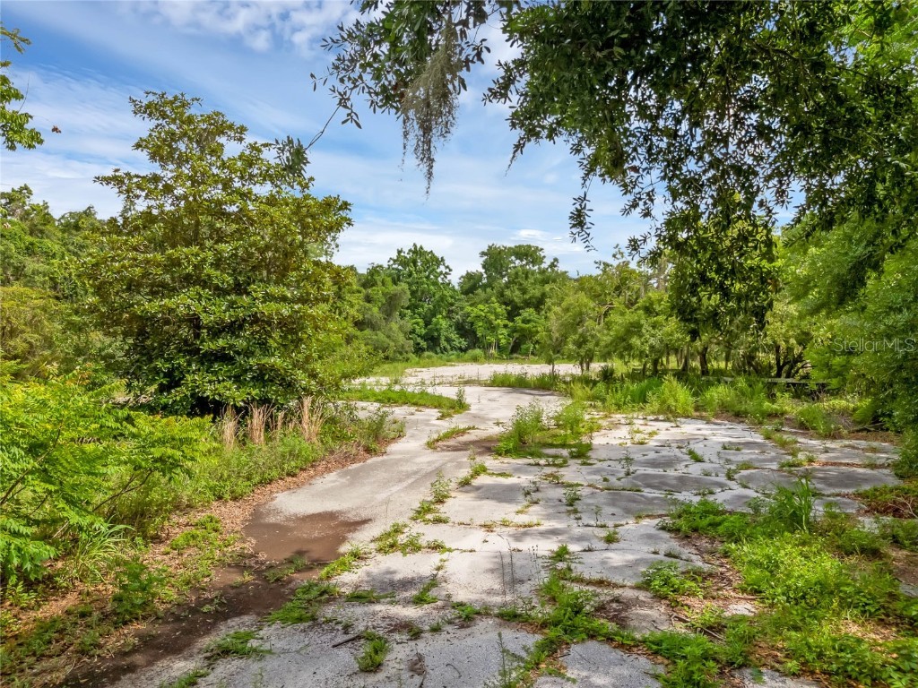 1250 N Maitland Avenue Maitland FL 32751 - LAKE SEMINARY O6222186 image3