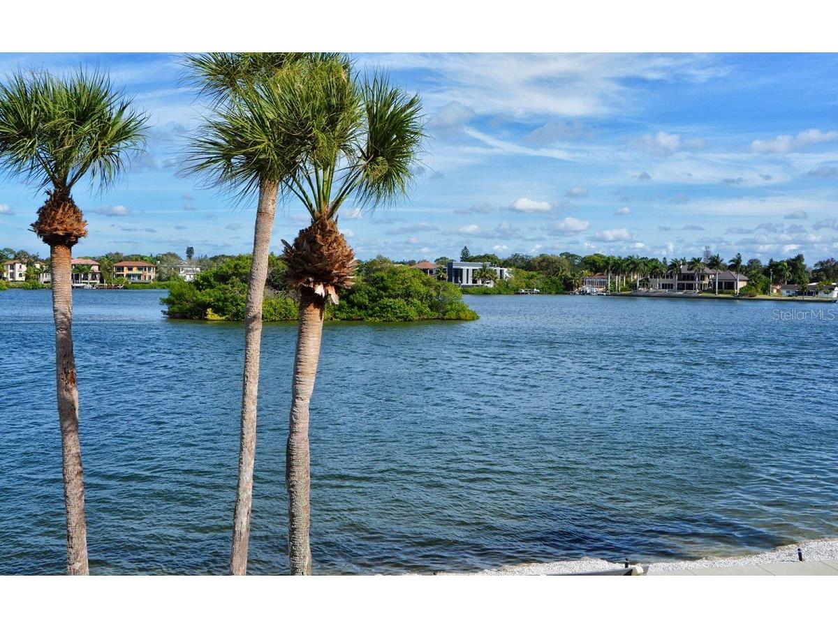 1250 N Portofino Drive #102MAR Sarasota FL 34242 A4522405 image69