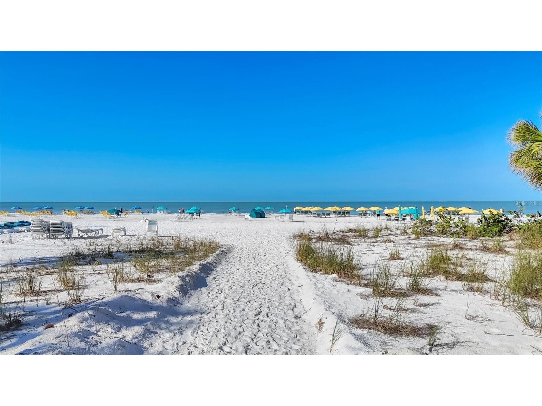 1250 N Portofino Drive #303 Sarasota FL 34242 A4672238 image45