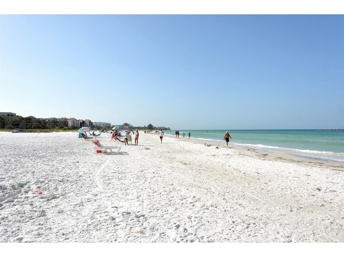 1250 N Portofino Drive #305MAR Sarasota FL 34242 A4589416 image73