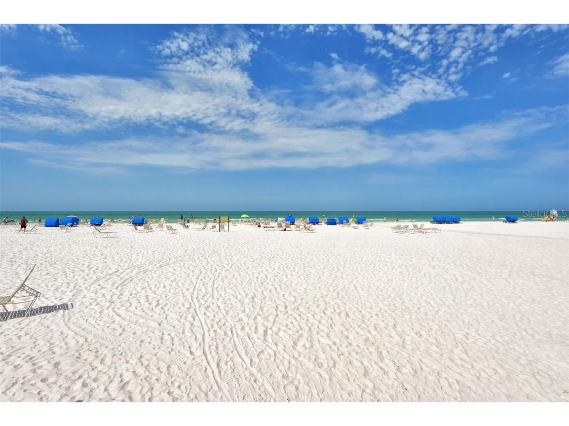 1250 N Portofino Drive #305MAR Sarasota FL 34242 A4589416 image74