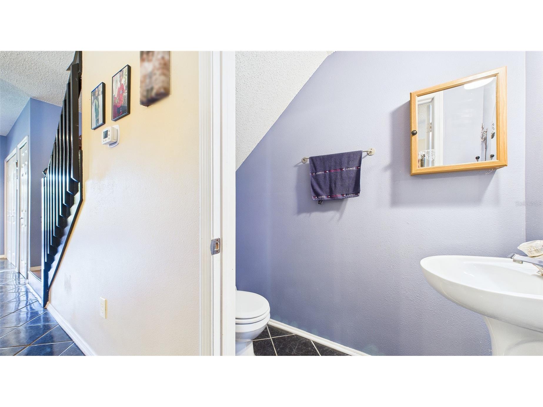 1250 Redondo Way Wesley Chapel FL 33543 TB8463411 image11