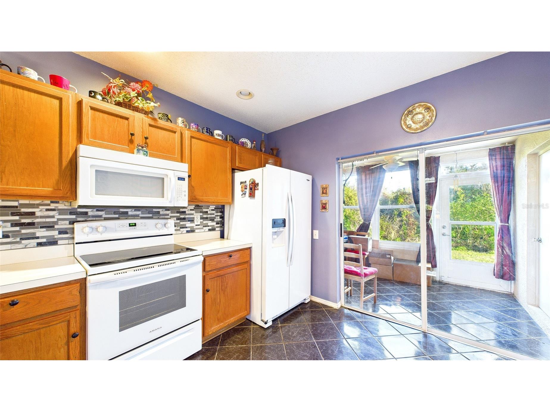 1250 Redondo Way Wesley Chapel FL 33543 TB8463411 image15