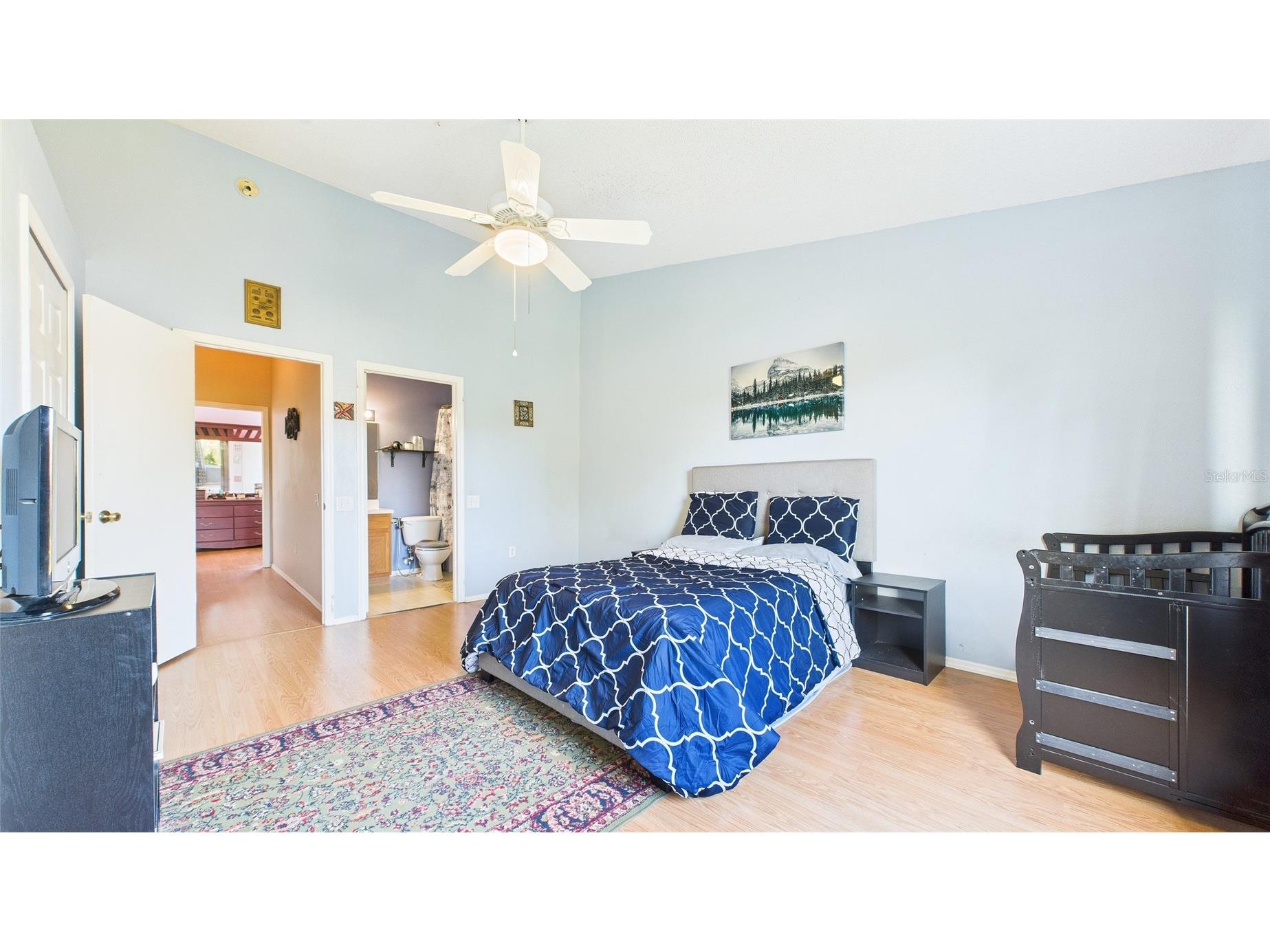 1250 Redondo Way Wesley Chapel FL 33543 TB8463411 image20