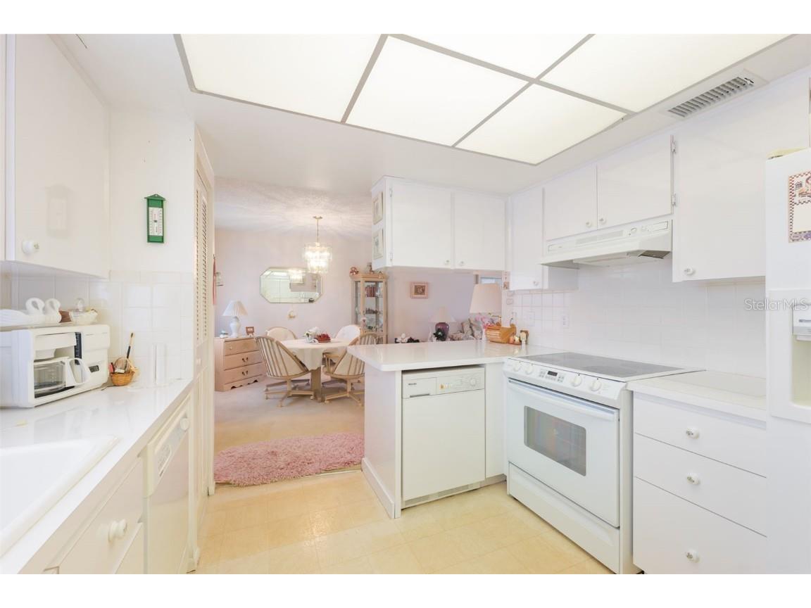 1250 S Pinellas Ave #910 Tarpon Springs FL 34689 TB8420142 image10