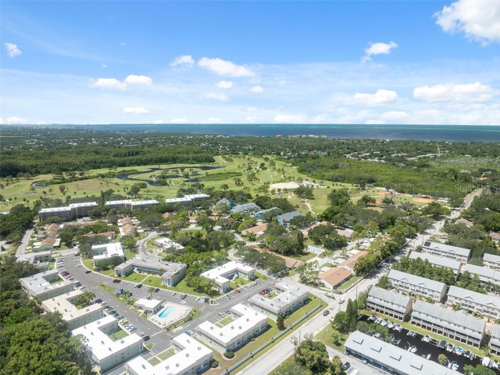 1250 S Pinellas Ave #910 Tarpon Springs FL 34689 TB8420142 image37