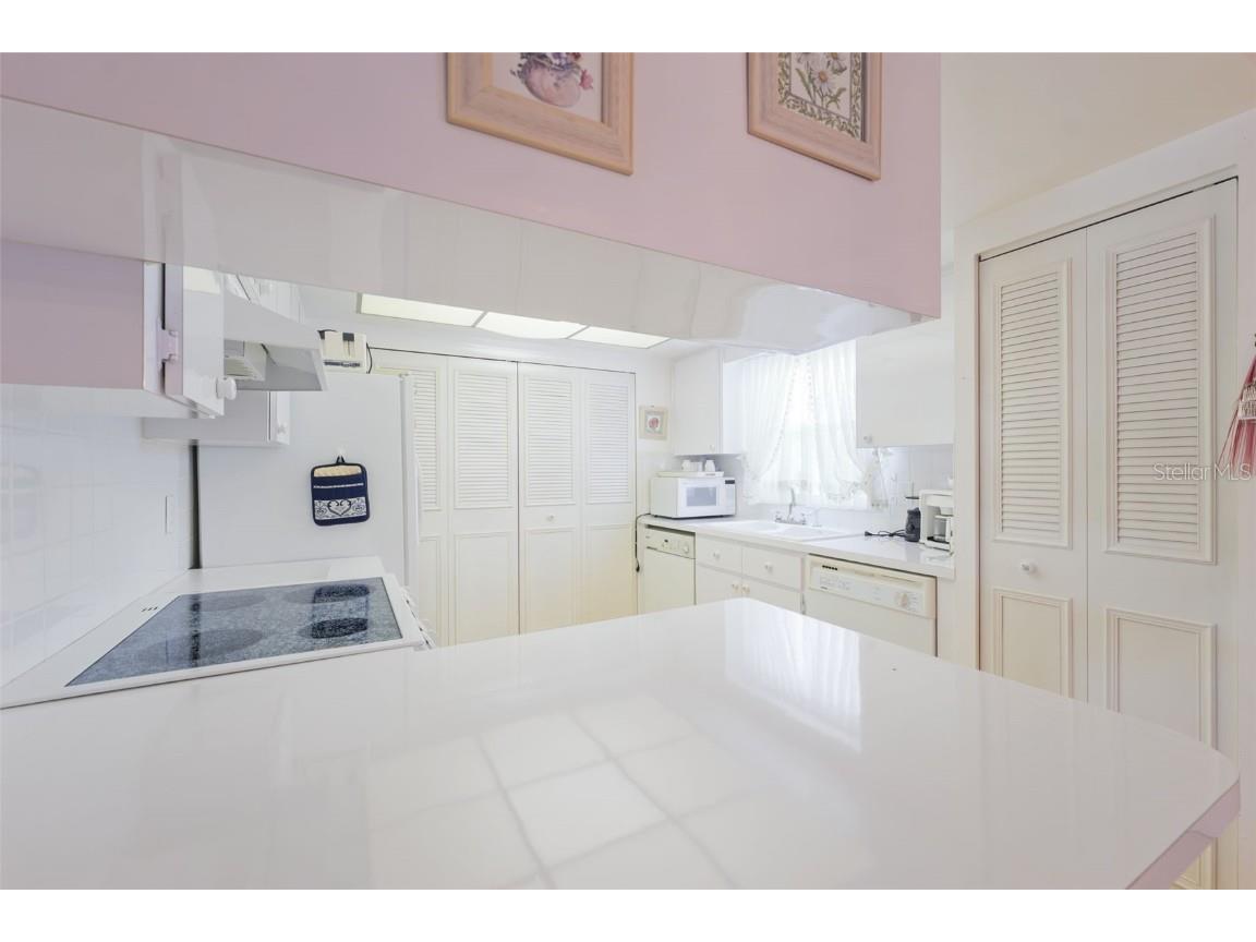 1250 S Pinellas Ave #910 Tarpon Springs FL 34689 TB8420142 image7