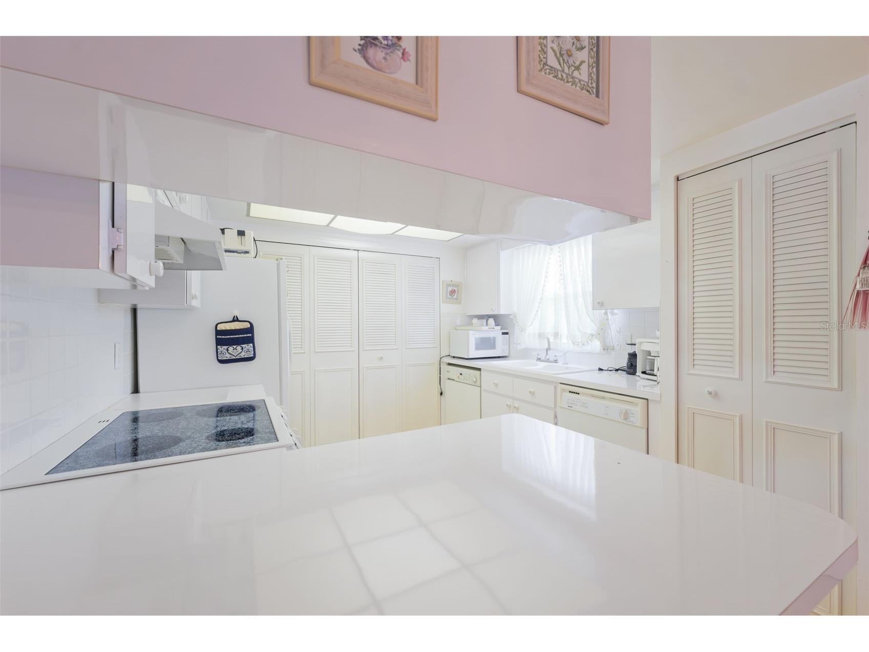 1250 S Pinellas Ave #910 Tarpon Springs FL 34689 TB8512577 image11