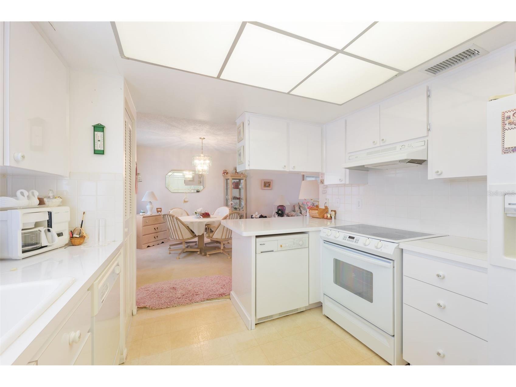 1250 S Pinellas Ave #910 Tarpon Springs FL 34689 TB8512577 image14