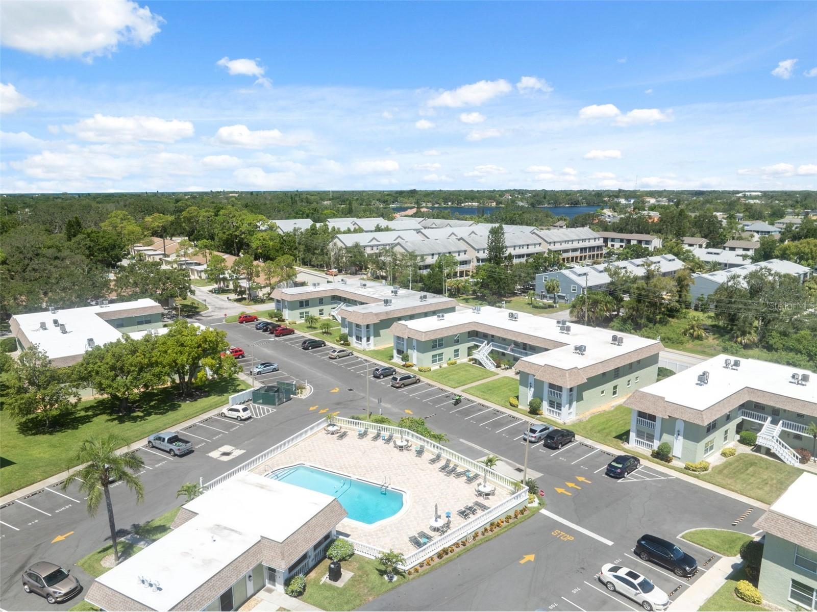 1250 S Pinellas Ave #910 Tarpon Springs FL 34689 TB8512577 image21