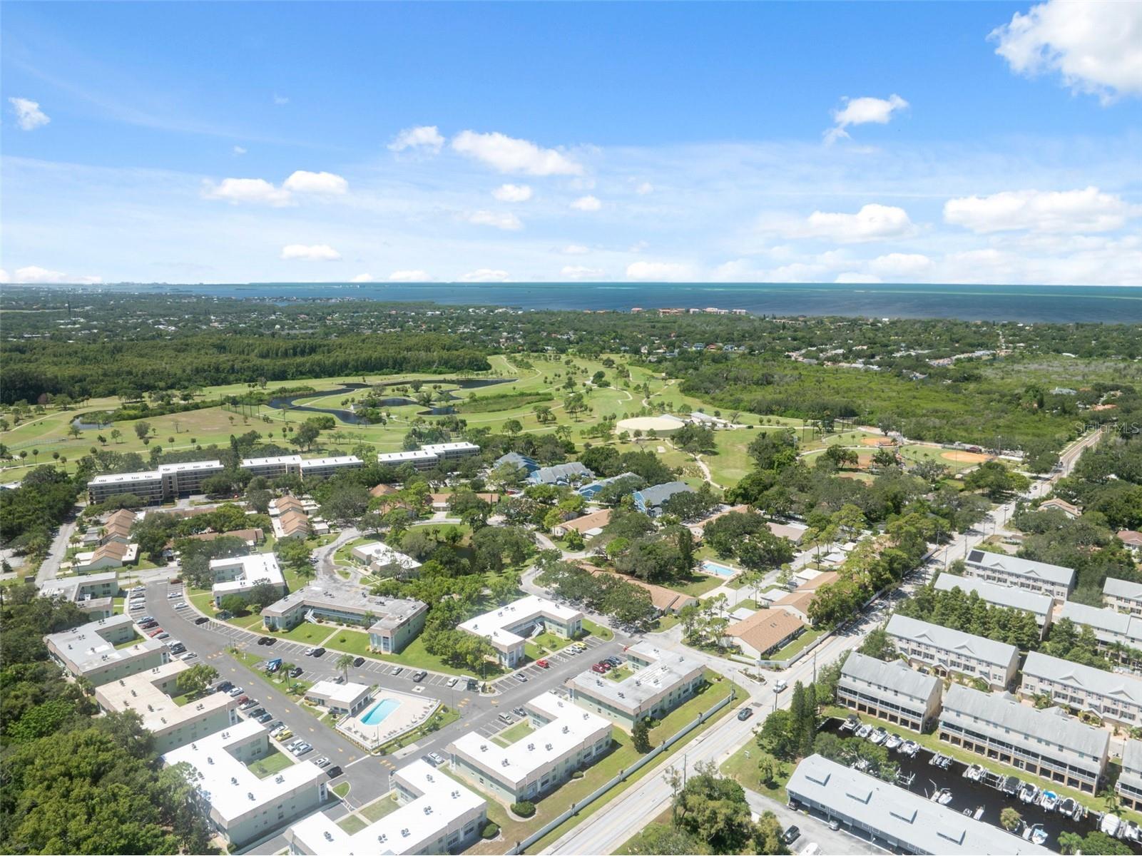 1250 S Pinellas Ave #910 Tarpon Springs FL 34689 TB8512577 image27