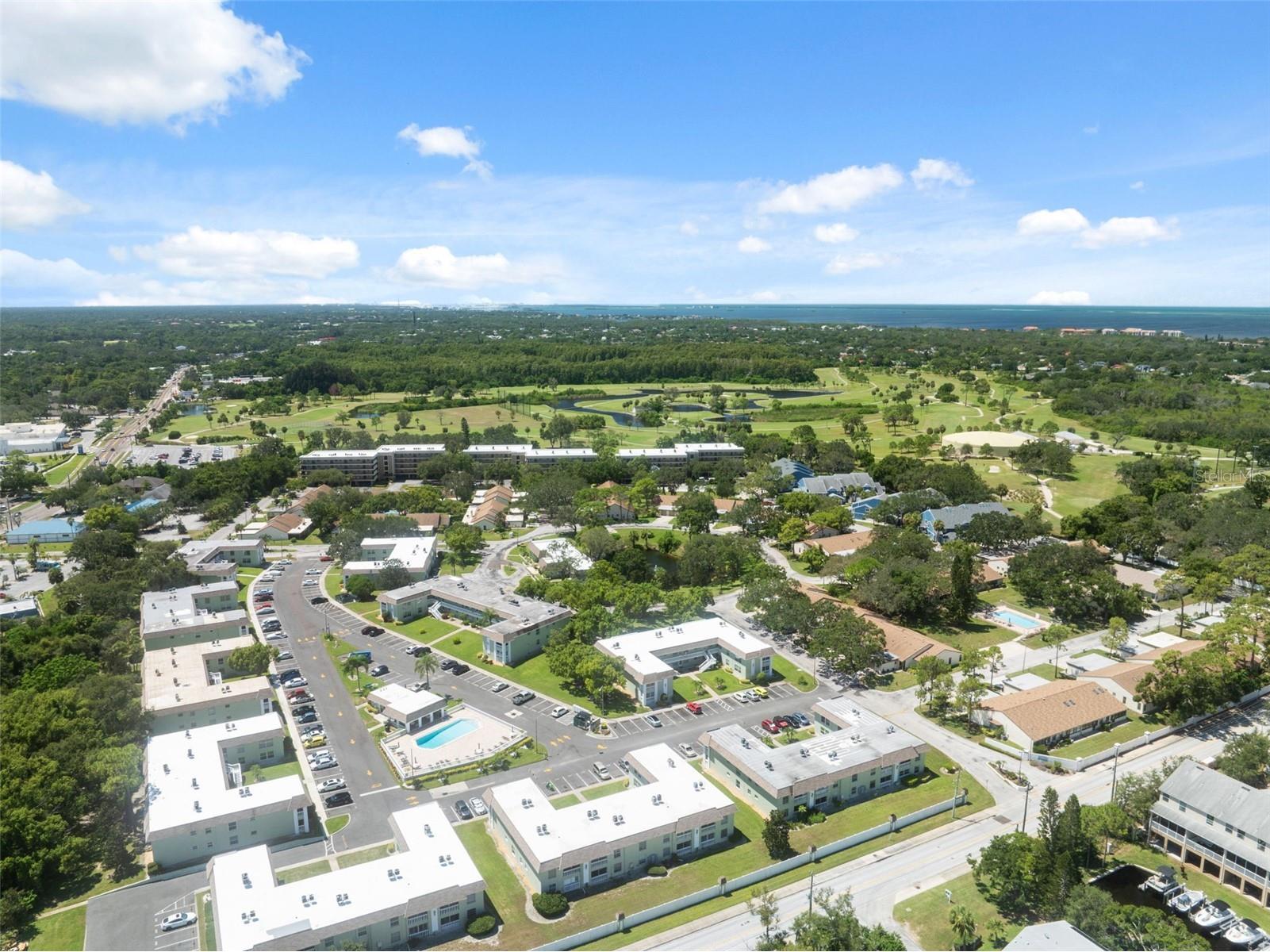 1250 S Pinellas Ave #910 Tarpon Springs FL 34689 TB8512577 image28
