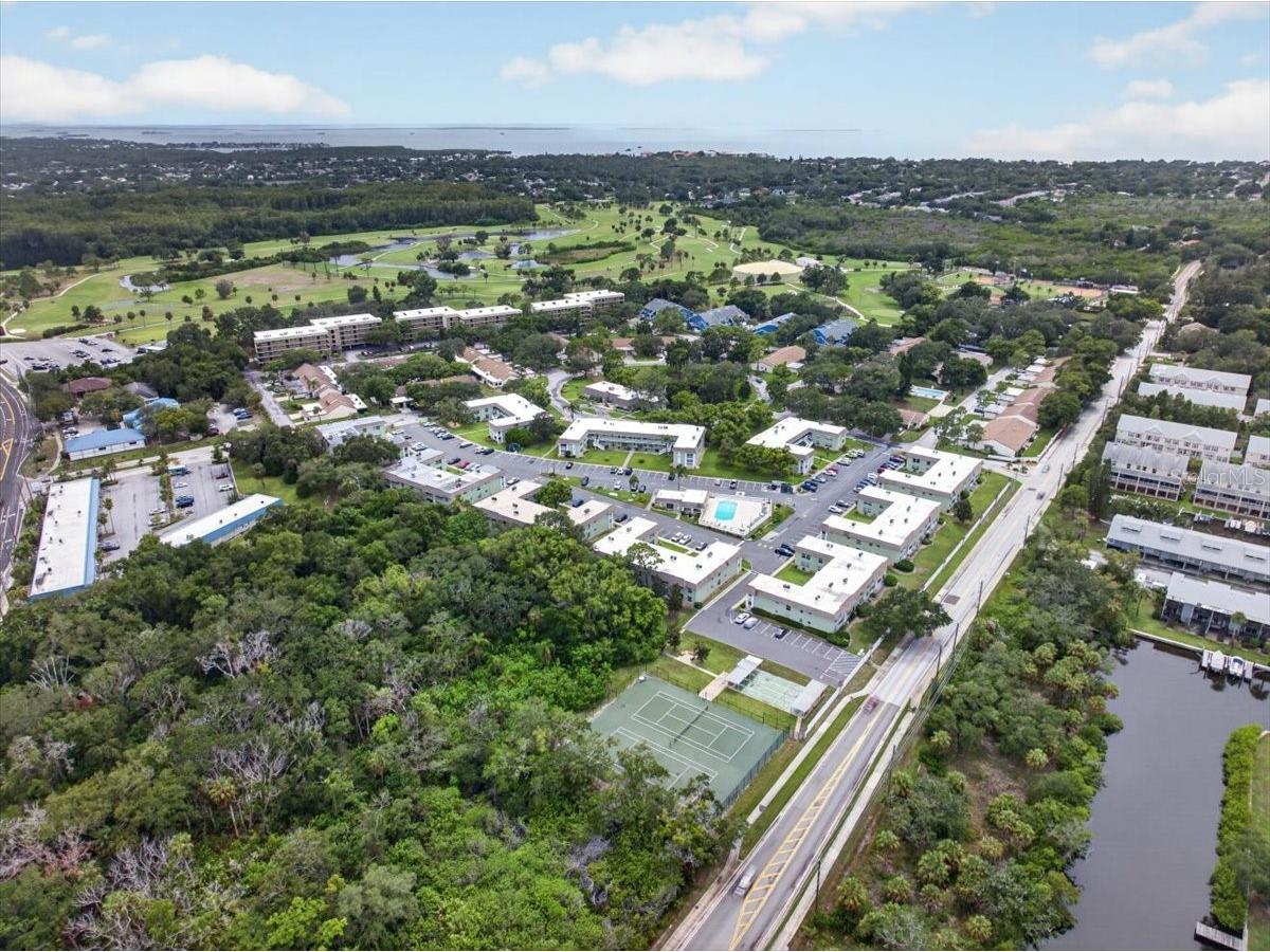 1250 S Pinellas Avenue #1008 Tarpon Springs FL 34689 TB8531689 image35