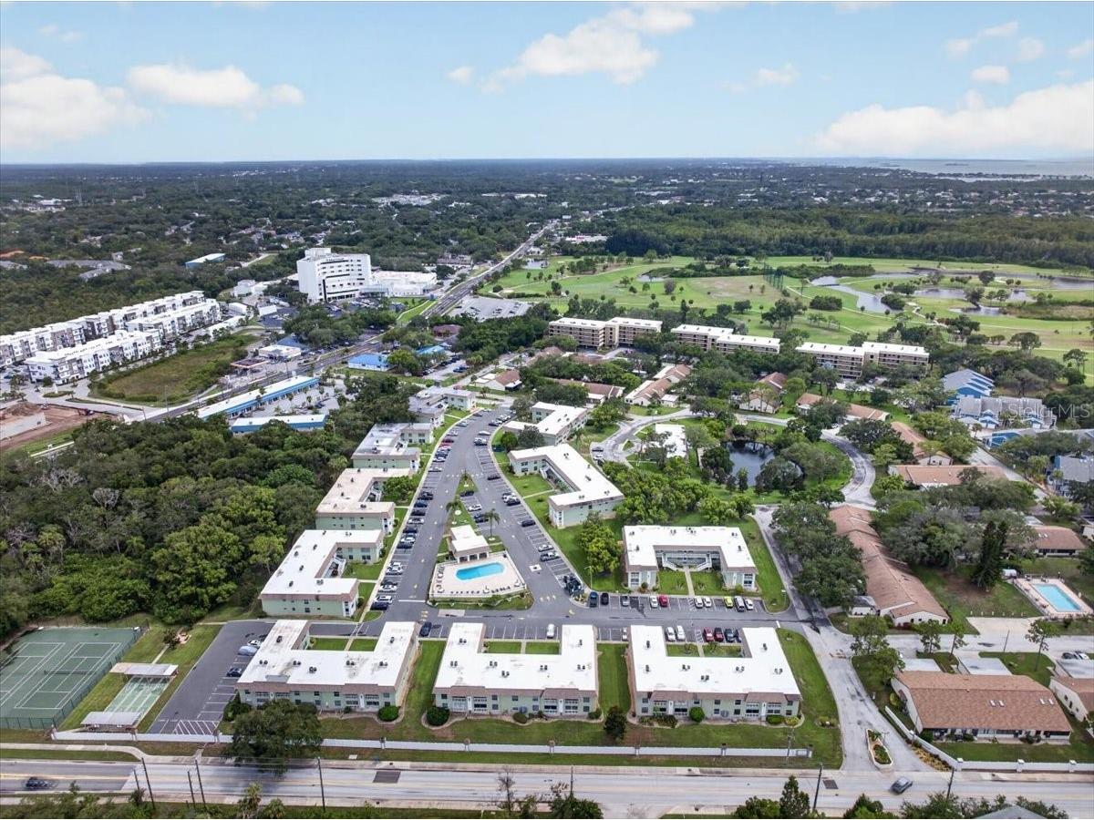 1250 S Pinellas Avenue #1008 Tarpon Springs FL 34689 TB8531689 image37
