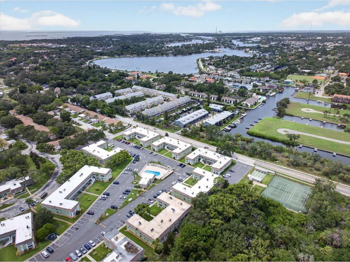 1250 S Pinellas Avenue #1008 Tarpon Springs FL 34689 TB8531689 image39