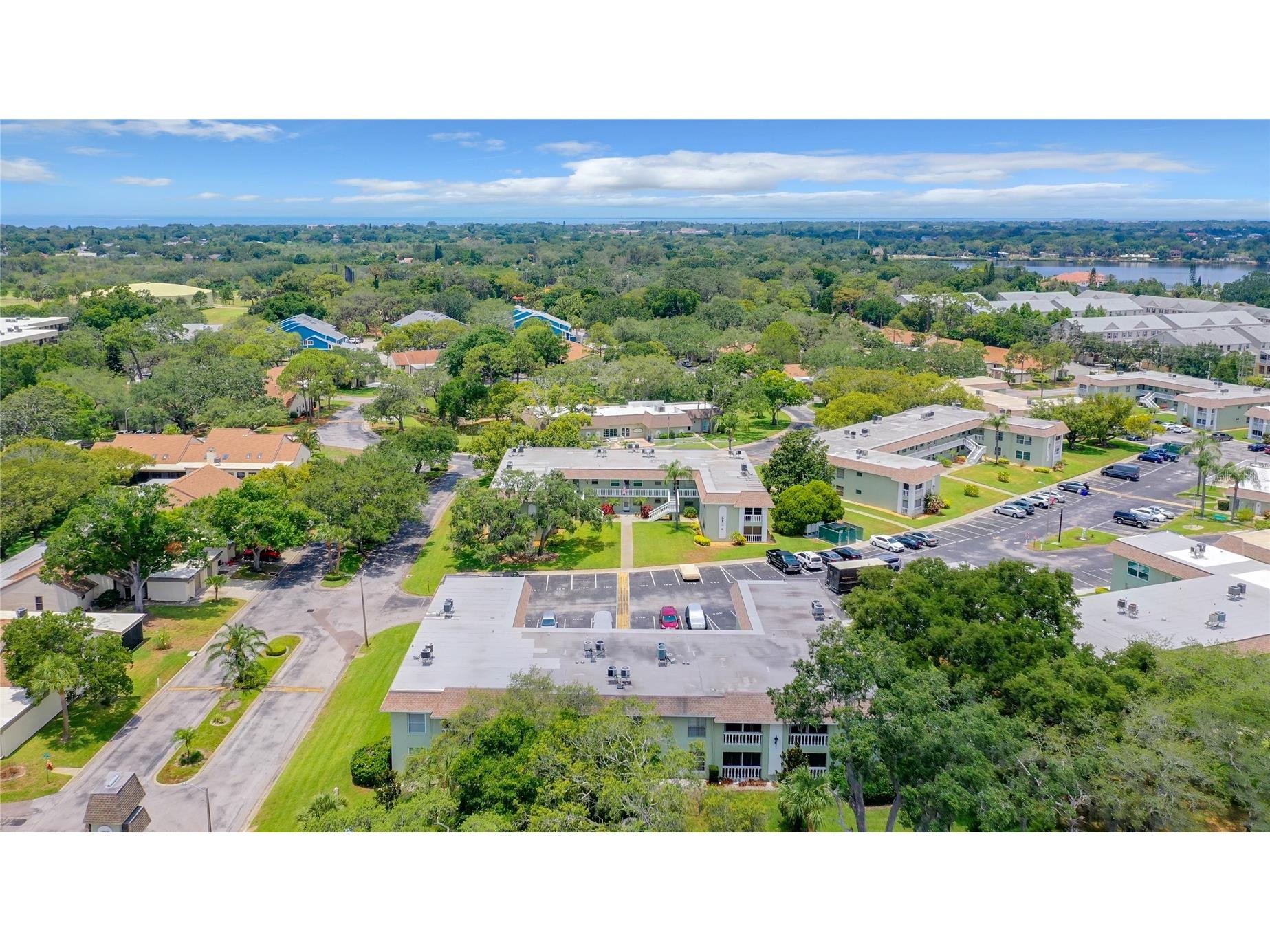 1250 S Pinellas Avenue #1008 Tarpon Springs FL 34689 TB8531689 image42