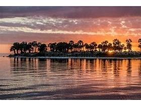 1250 S Pinellas Avenue #1008 Tarpon Springs FL 34689 TB8531689 image54