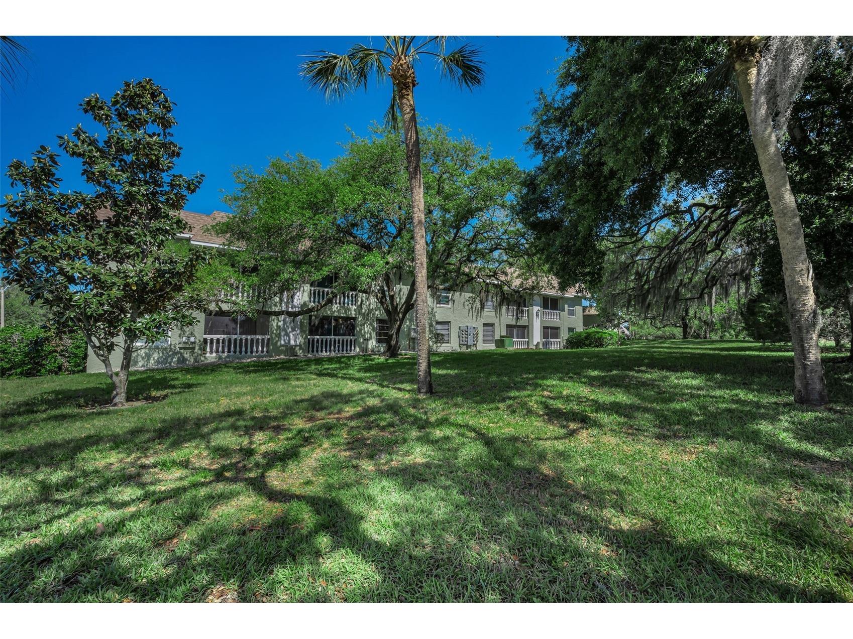 1250 S Pinellas Avenue #205 Tarpon Springs FL 34689 TB8499933 image24