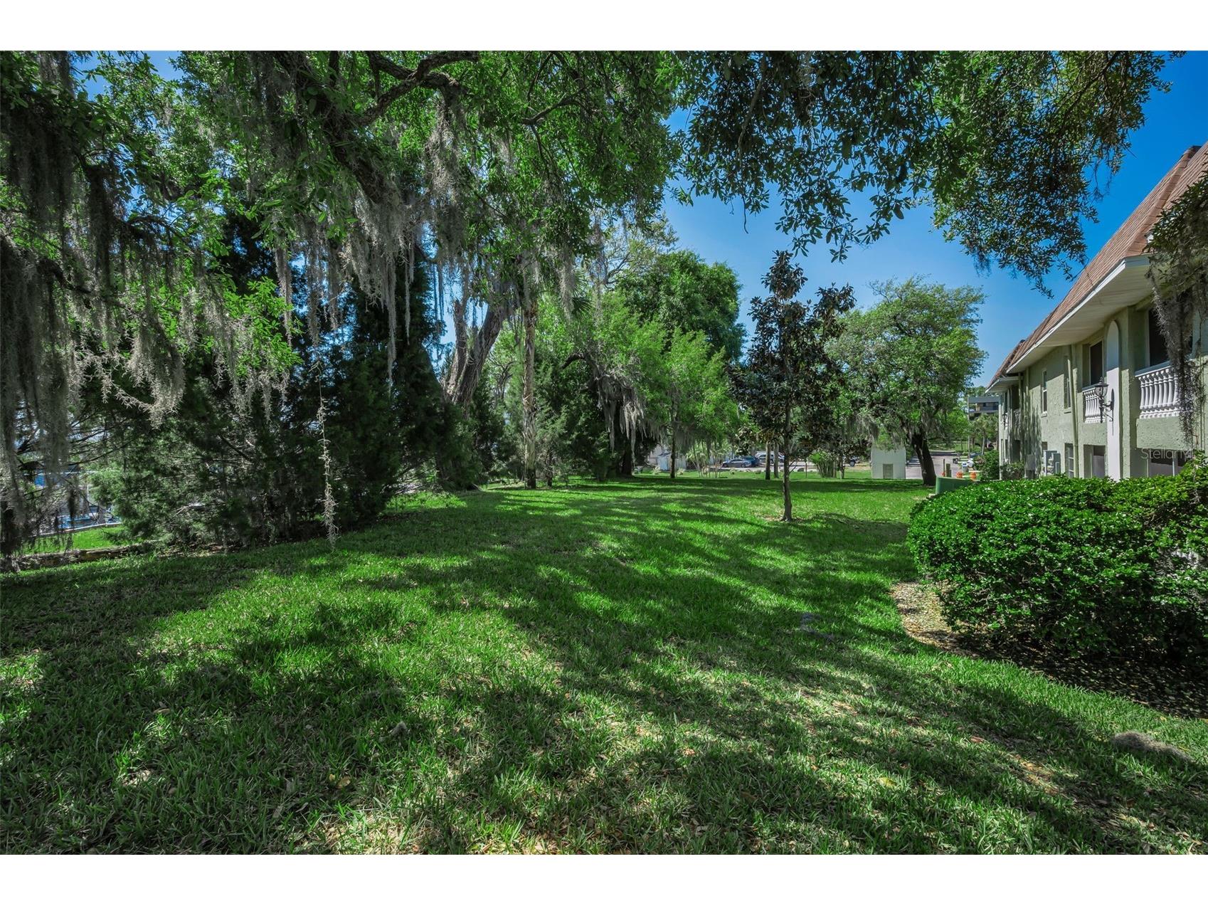 1250 S Pinellas Avenue #205 Tarpon Springs FL 34689 TB8499933 image25