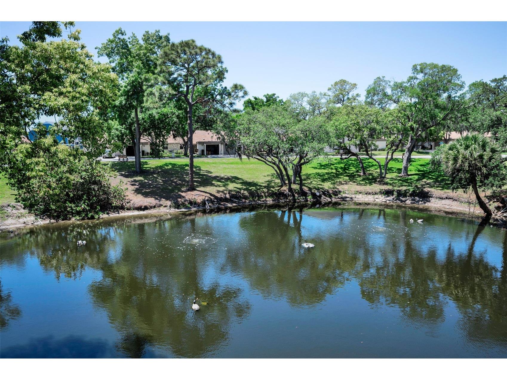1250 S Pinellas Avenue #205 Tarpon Springs FL 34689 TB8499933 image38