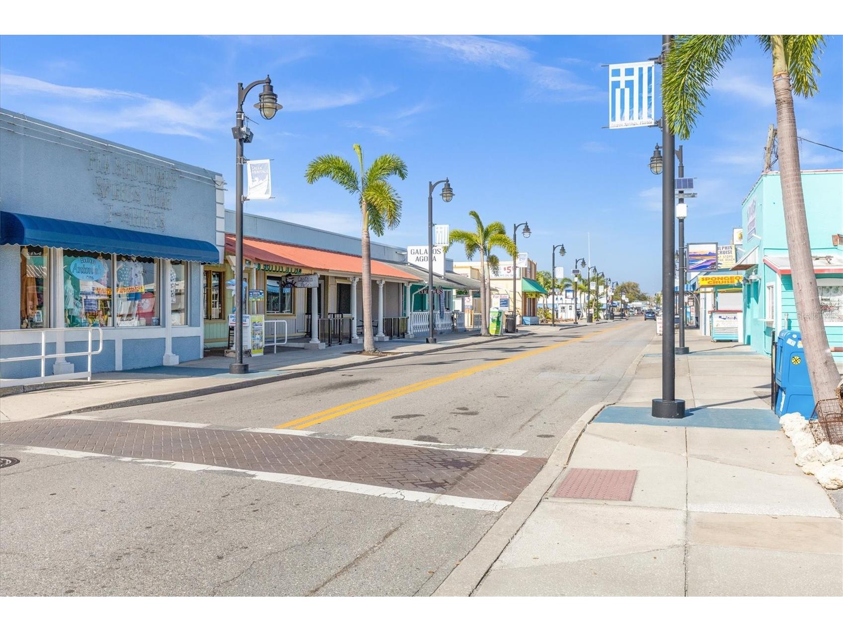 1250 S Pinellas Avenue #214 Tarpon Springs FL 34689 TB8489698 image39